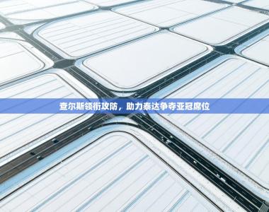 查尔斯领衔攻防，助力泰达争夺亚冠席位