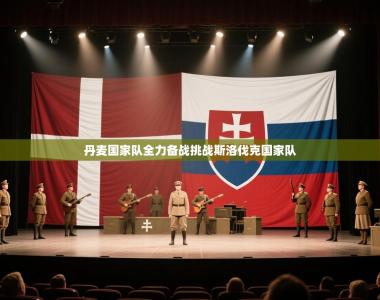 丹麦国家队全力备战挑战斯洛伐克国家队