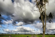 联赛赛制调整，球员备战增添挑战