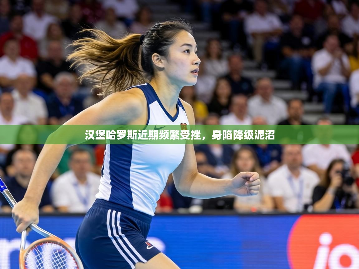 汉堡哈罗斯近期频繁受挫,身陷降级泥沼 第1张