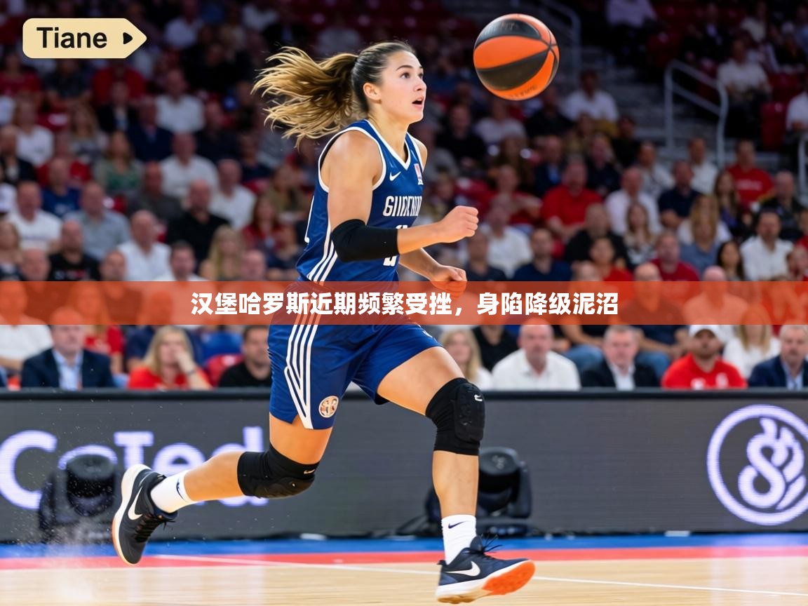 汉堡哈罗斯近期频繁受挫,身陷降级泥沼 第2张