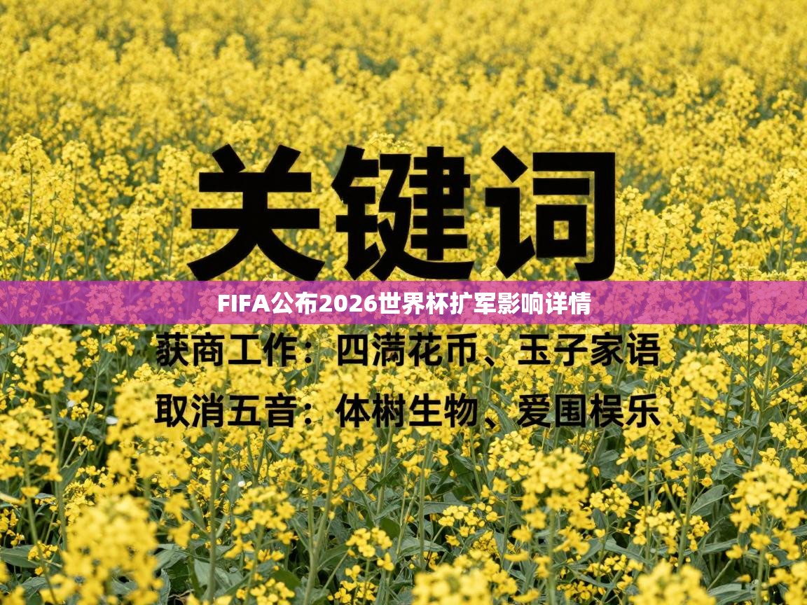 FIFA公布2026世界杯扩军影响详情  第2张